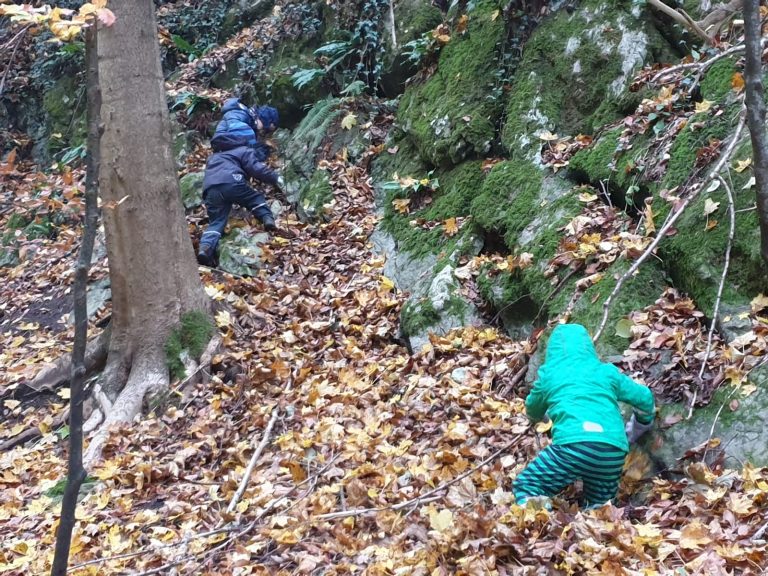Kinder klettern im Wald